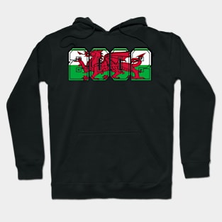 WELSH FLAG 2002 Hoodie